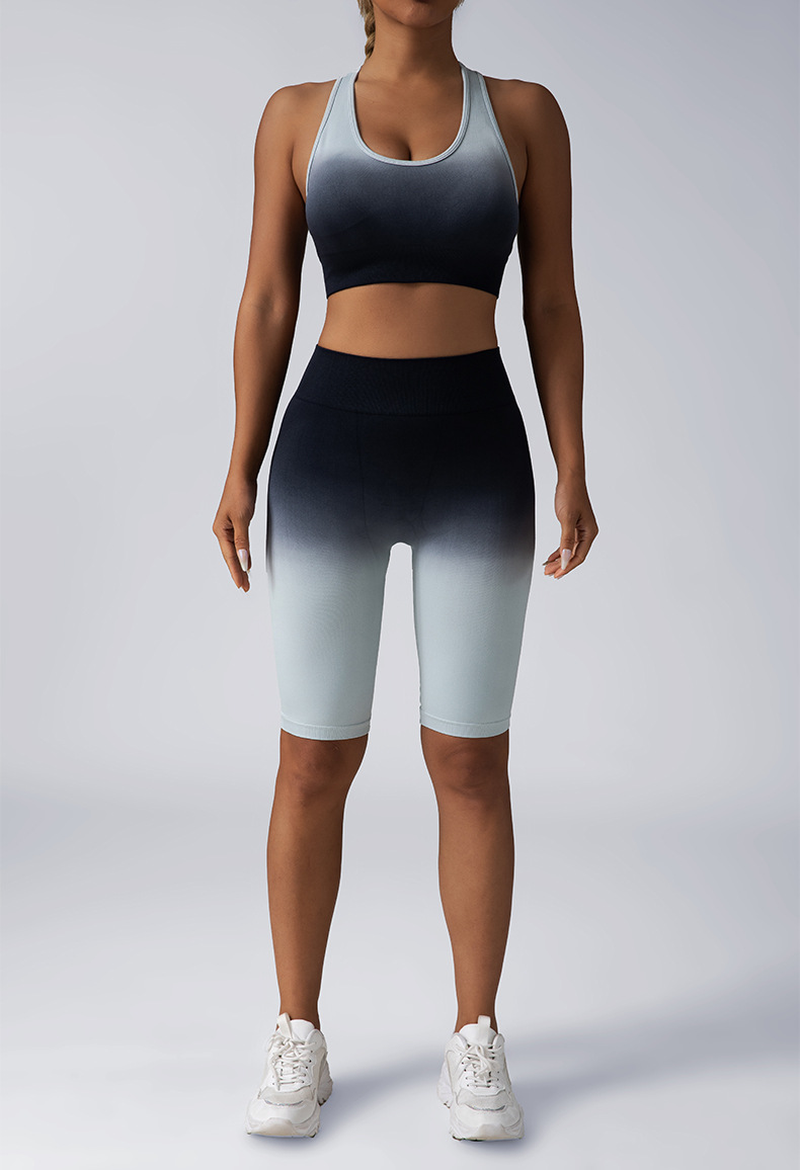 2 Piece Seamless Sport Bra High Waist Yoga Leggings Sets 2 Piece Seamless Sport Bra High Waist Yoga Leggings Sets