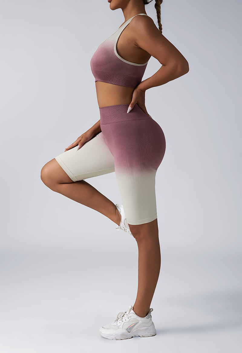 2 Piece Seamless Sport Bra High Waist Yoga Leggings Sets 2 Piece Seamless Sport Bra High Waist Yoga Leggings Sets - Image 12