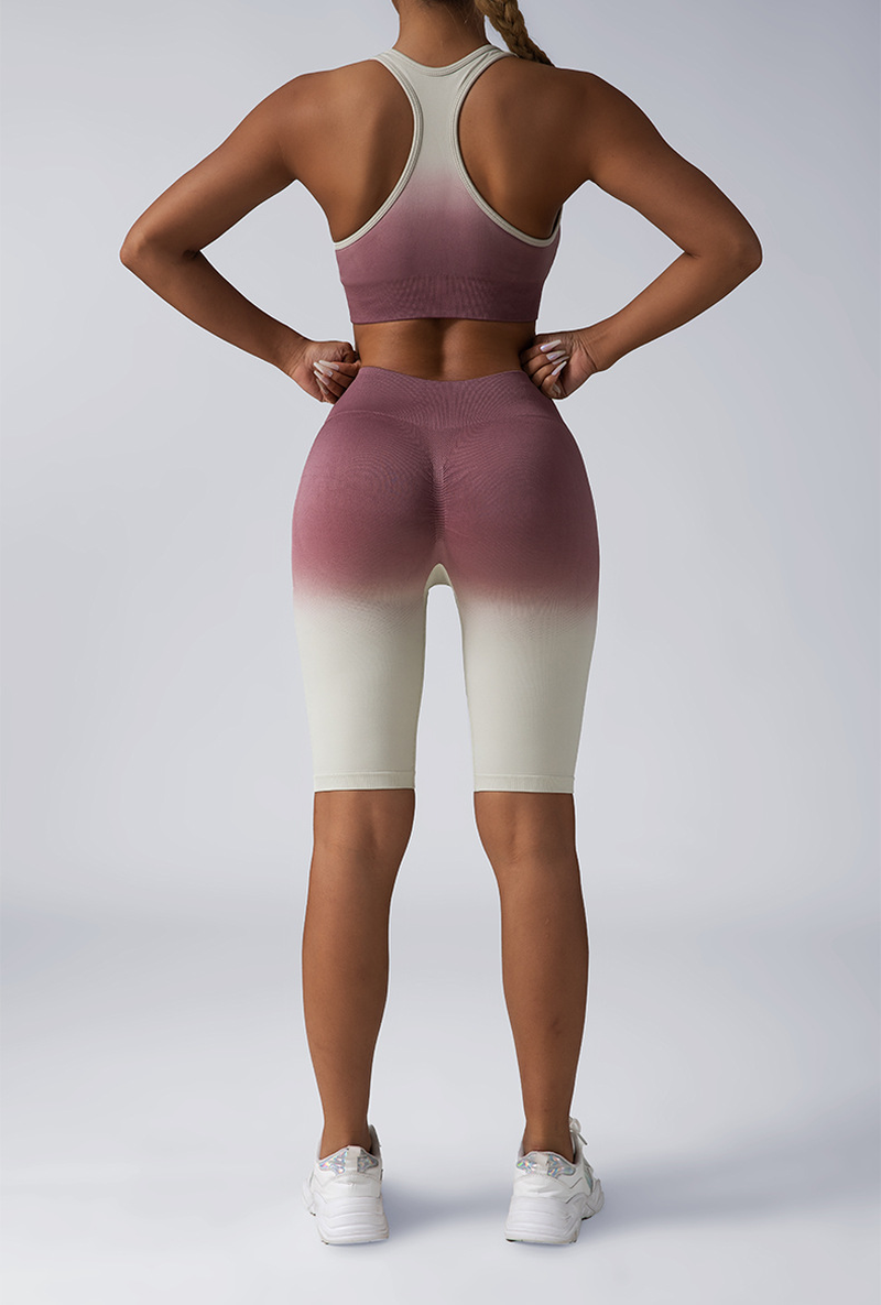2 Piece Seamless Sport Bra High Waist Yoga Leggings Sets 2 Piece Seamless Sport Bra High Waist Yoga Leggings Sets - Image 11
