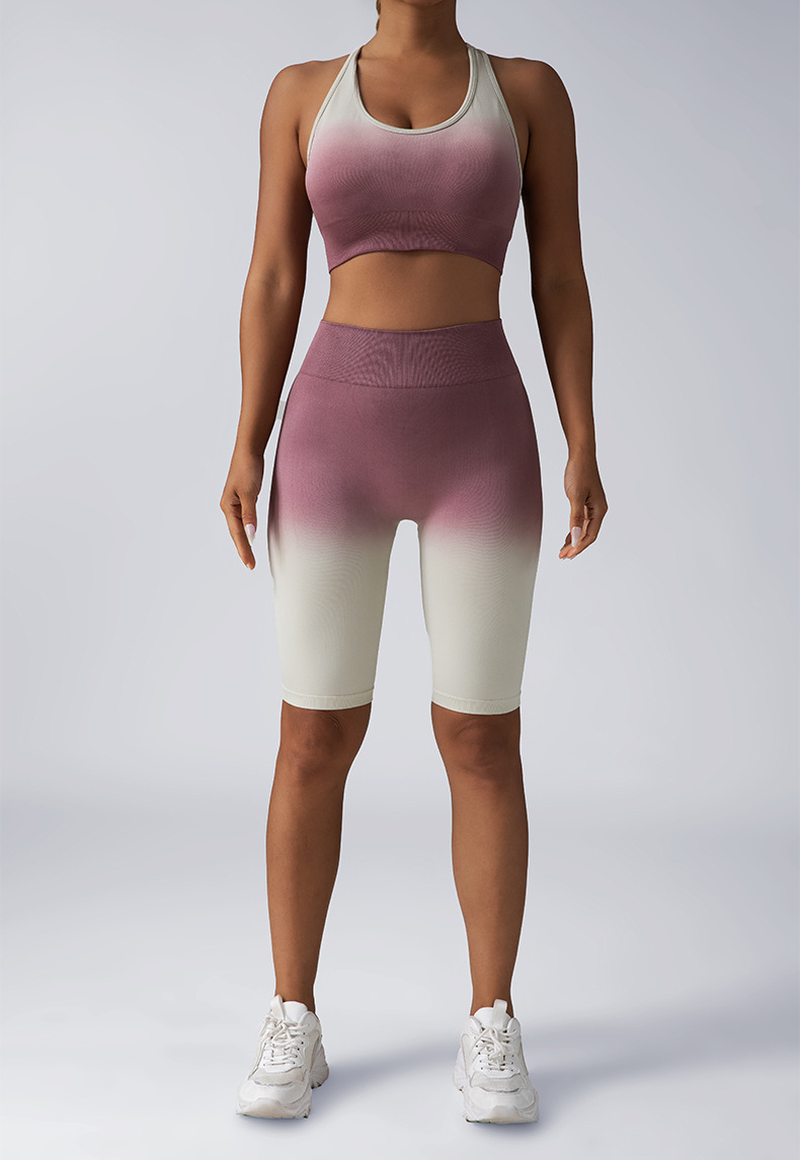 2 Piece Seamless Sport Bra High Waist Yoga Leggings Sets 2 Piece Seamless Sport Bra High Waist Yoga Leggings Sets - Image 13